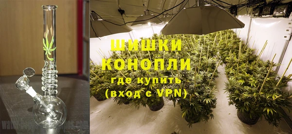 spice Белокуриха