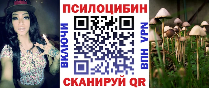 купить   Севск  Псилоцибиновые грибы Cubensis 
