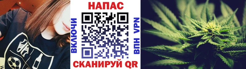 Шишки марихуана THC 21%  mega зеркало  Севск 
